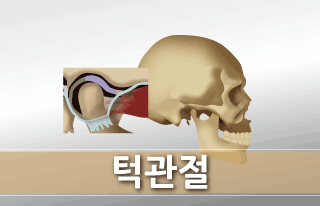 턱관절