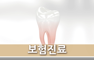 보험진료